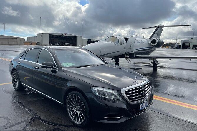 Luxury Van - Sydney Airport Private Departure Transfer - Who Should Book This Sydney Airport Departure Transfer