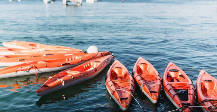 Manly: Mini Kayak Tour on Sydney's North Harbour - Quiet paddling route: Fairlight, North Harbour Reserve, and Reef Beach