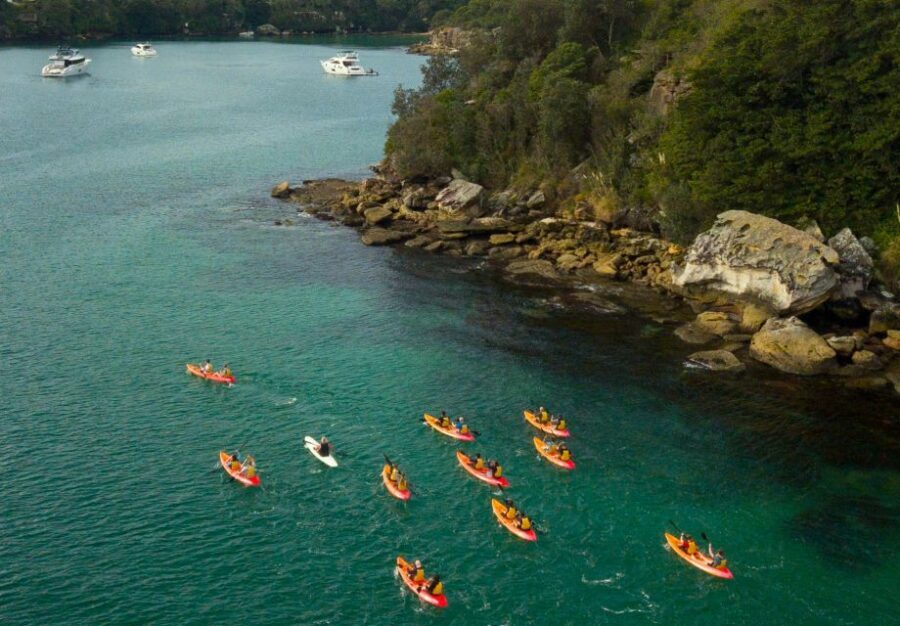 Manly: Mini Kayak Tour on Sydney's North Harbour - Price and value: $43 for kayak hire, gear, and a viewpoint walk