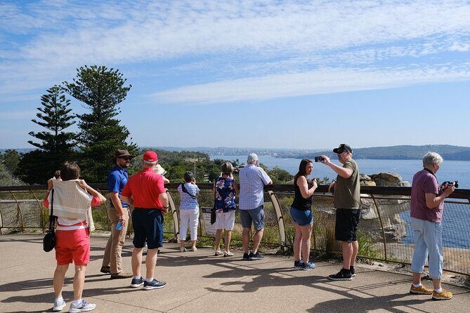 Morning or Afternoon Half-Day Sydney City Sightseeing Tour - Centennial Park and Paddington: quick snapshots of everyday Sydney