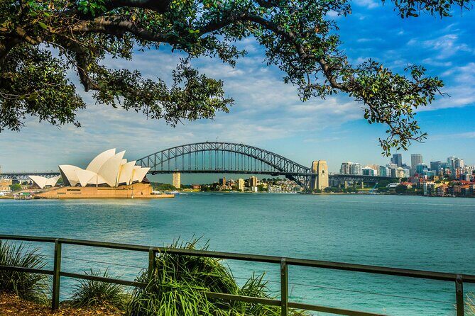 Morning or Afternoon Half-Day Sydney City Sightseeing Tour - Chinatown and Darling Harbour: history, then a lively finish