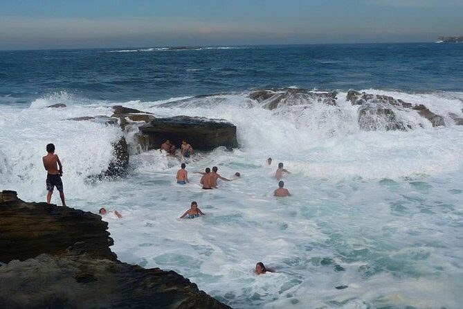 Morning or Afternoon Highlights Tour in Sydney with a Local Guide - A tight 4-hour plan that still hits Harbour Bridge to Bondi