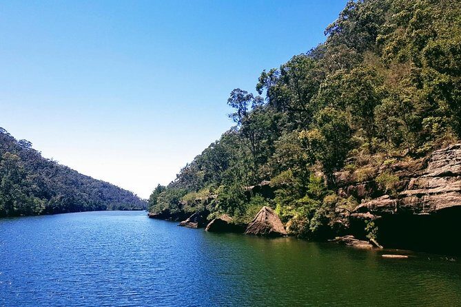 Morning Paddlewheeler Cruise in the Gorge - Practical Logistics That Matter Once You’re Onboard