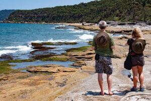 Nature and Wildlife: Australia in One Day - Private Tour - Crossing Sydney Harbour Bridge and Leaving the City Rhythm Behind