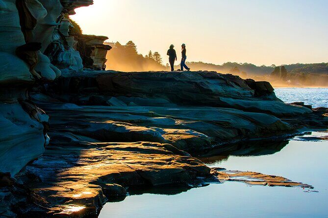 Nature and Wildlife: Australia in One Day - Private Tour - Mount White and Glenworth Valley: Short Stops, Big Choice Energy