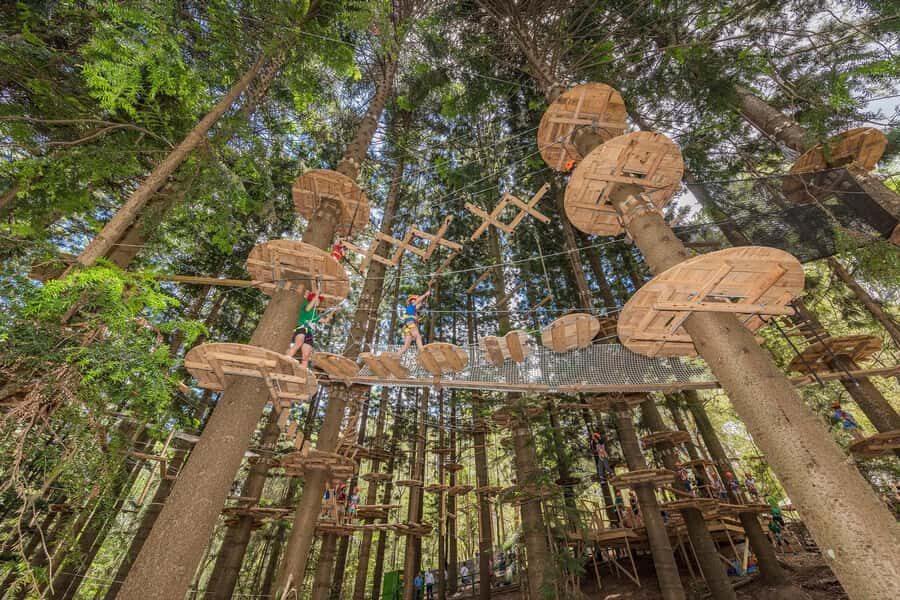 Pennant Hills: Tree Ropes Course Session - Cumberland State Forest Tree Ropes: What You’re Really Signing Up For