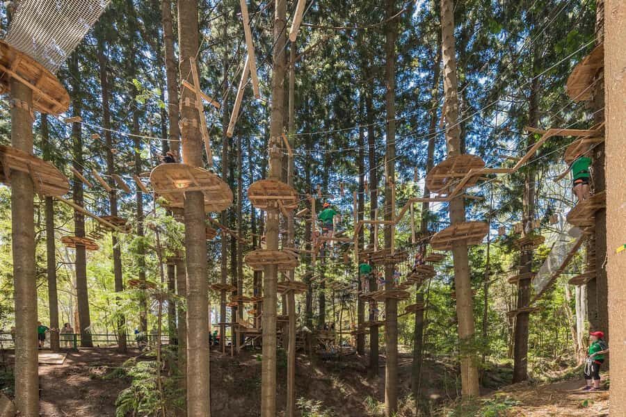 Pennant Hills: Tree Ropes Course Session - The Safety Briefing: The Part That Makes the Rest of the Session Easier