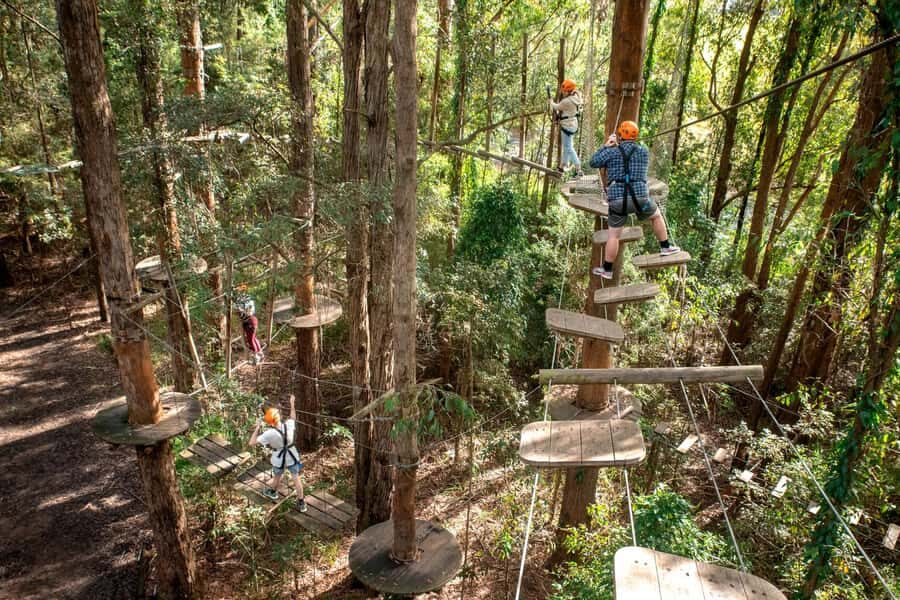 Pennant Hills: Tree Ropes Course Session - Arriving 30 Minutes Early and Finding Treetops Adventure The Hills
