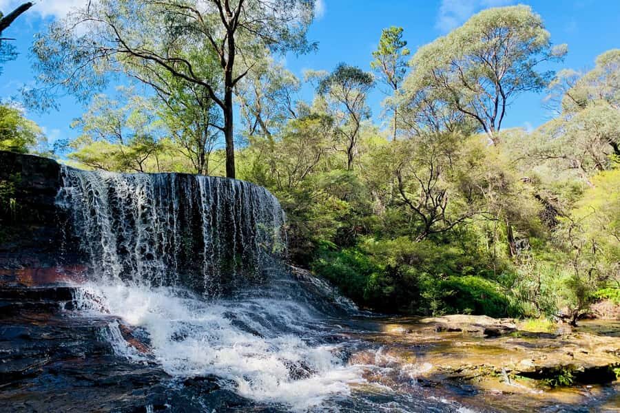 Personalised Blue Mountains Tour: Luxury Vehicles & Insights - Wentworth Falls: the part where your feet, eyes, and mood all get a workout