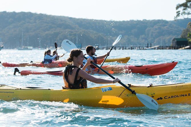 Pittwater Discovery Kayaking Tour - Key tour highlights (what you’ll actually care about)
