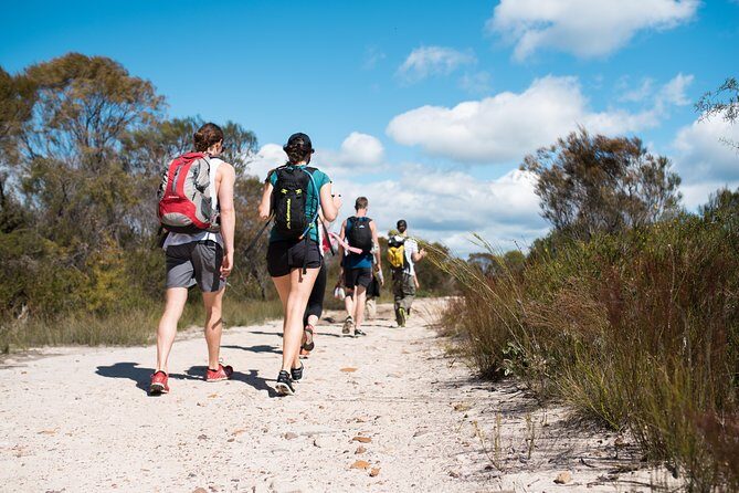 Pittwater Discovery Kayaking Tour - Stop and stretch: the little beach, the half-hour bush walk, and the waterfall payoff