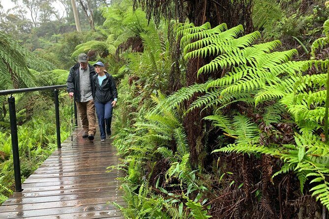 PJ Blue Mountains Supreme [Private Charter] - Cahill’s Lookout and Sound of Silence: a short stop with real payoff