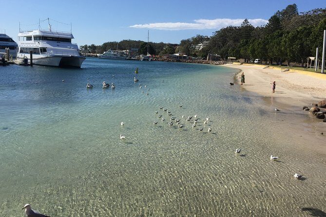Port Stephens Private Tour From Sydney, with Dolphin/ Whale Cruise Options - Gan Gan Lookout and lunch with Port Stephens Waterway views