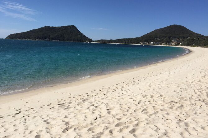 Port Stephens Private Tour From Sydney, with Dolphin/ Whale Cruise Options - Timing, comfort, and what to pack for an early start