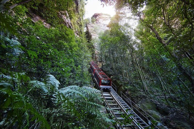 Private All Blue Mountains Day Tour - Price and value for a private day (what you’re really paying for)