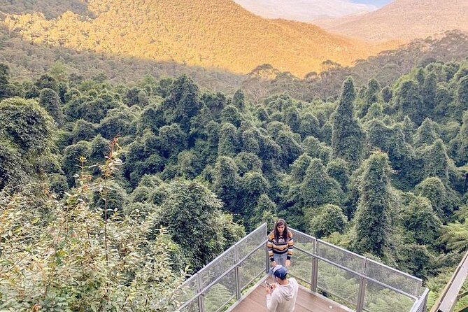 Private All Blue Mountains Day Tour - Blue Mountains lookouts time: where the guide earns their keep
