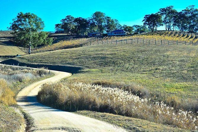Private Blue Mountains and Winery Day-Trip from Sydney - Megalong Valley: cool air, fewer crowds, and time for lunch + wine