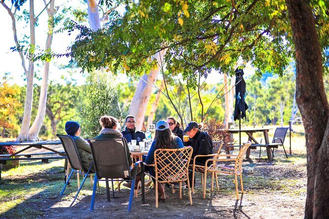 Private Blue Mountains and Winery Day-Trip from Sydney - Picking the best Blue Mountains views: flexible timing with the weather