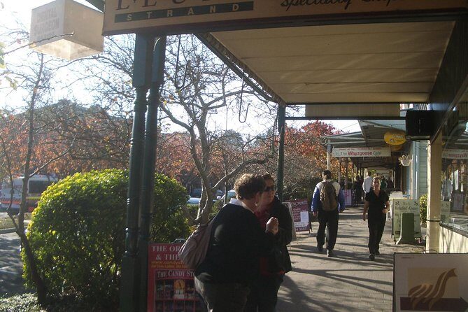 PRIVATE Blue Mountains day tour with local guide. - Scenic World extra-cost rides: what you’re really paying for