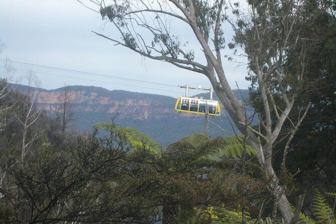 PRIVATE Blue Mountains day tour with local guide. - Stop 1: Blue Mountains main sights without the map headache