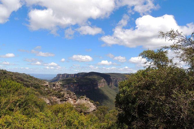 Private Blue Mountains Insider Tour from Sydney - Your day starts at 7:30 with real pick-up convenience