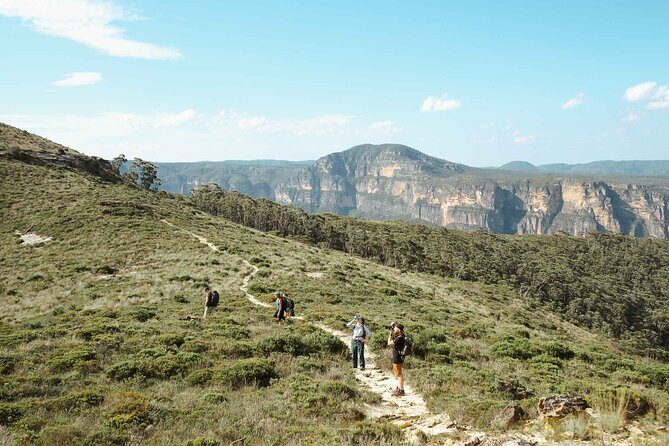 Private Blue Mountains Tour | Waterfalls, Koalas & Views - A Private Blue Mountains Day That Actually Feels Private