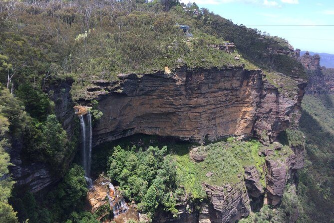 PRIVATE Blue Mountains Tour, Wildlife Park and River Cruise - Featherdale Wildlife Park: koalas, crocodiles, wombats, and kangaroos