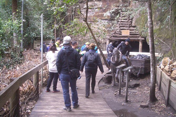 PRIVATE Blue Mountains Tour with Expert Guide - Leura: gardens and a different side of the mountains