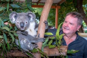 PRIVATE Blue Mountains Wilderness & Wildlife Late Start Tour - Calmsley Hill City Farm: koalas up close, plus kangaroos