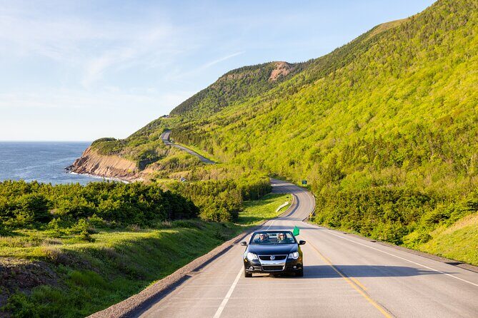 Private Cruise Excursion in Cape Breton - What the guide can add: food tips, local stops, and personalization