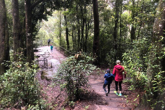 Private Guided Tour from Sydney to Blue Mountains National Park - Scenic Railway, Cableway, and Skyway: why Scenic World rides matter