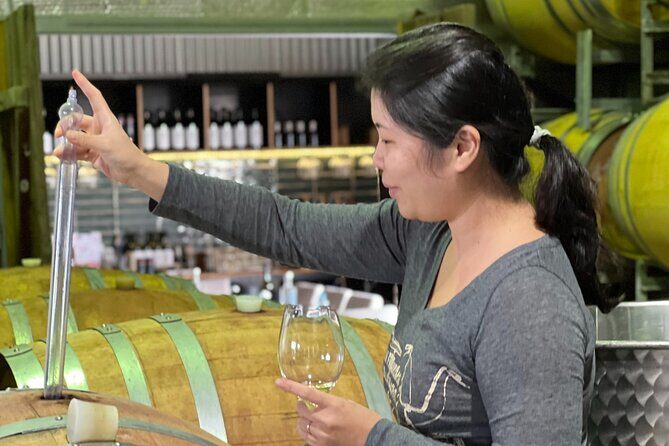 Private Hunter Valley Luxury Tour From Sydney - Swap-In Stops Beyond Wineries: Brewery, Distillery, Cider, Dessert, Chocolate