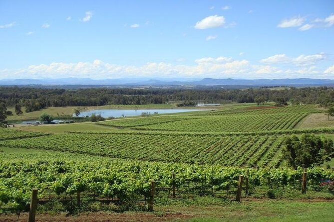 Private Hunter Valley Wine-Tasting Day Tour from Sydney - 7:45am pickup and the reality of driving time