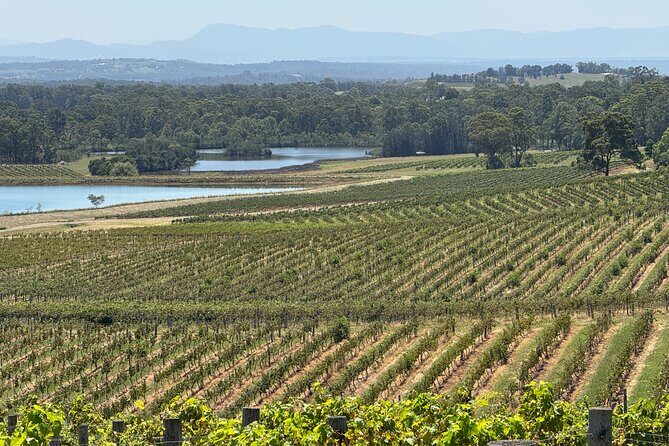 Private Hunter Valley Wine Tasting Tour from Sydney - Lunch in Hunter Valley: pick a restaurant, then enjoy the break