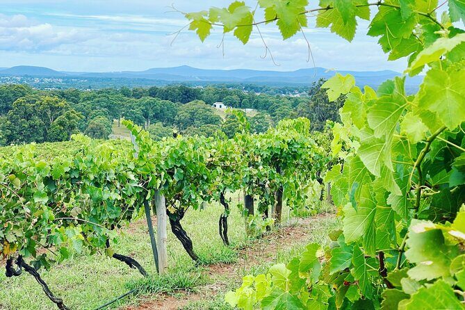 Private Hunter Valley Wine Tasting Tour from Sydney - Getting from Sydney to Pokolbin without the big hassle