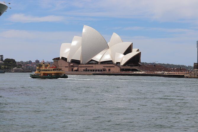 Private Sydney City and Bondi Beach Half Day Tour - The ride experience: where the tour starts and why it matters