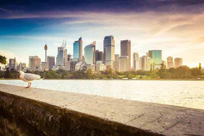 Private Sydney City and Bondi Beach Half Day Tour - Royal Botanic Gardens to Mrs Macquarie’s Chair: a free viewpoint that pays off