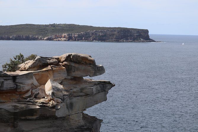 Private Sydney City and Bondi Beach Half Day Tour - Bondi Beach for a full hour: how to get more than a photo