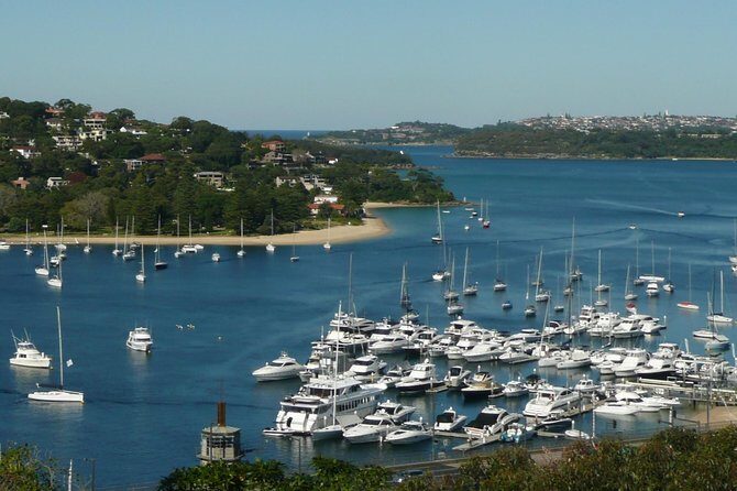 Private Sydney City Tour: The Key Attractions - Price and value: when $914.49 per group makes sense