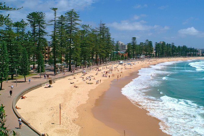 Private Sydney Tour Including Sydney Opera House, Bondi and Manly - Manly Beach and North Head: pine trees, lookouts, and a quieter pace