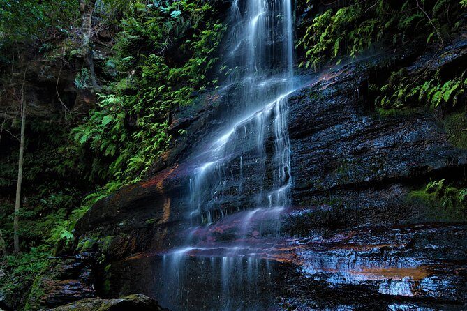 Private Tour Blue Mountains Day Adventure Wildlife + River Cruise - Why do Blue Mountains by private 4WD?
