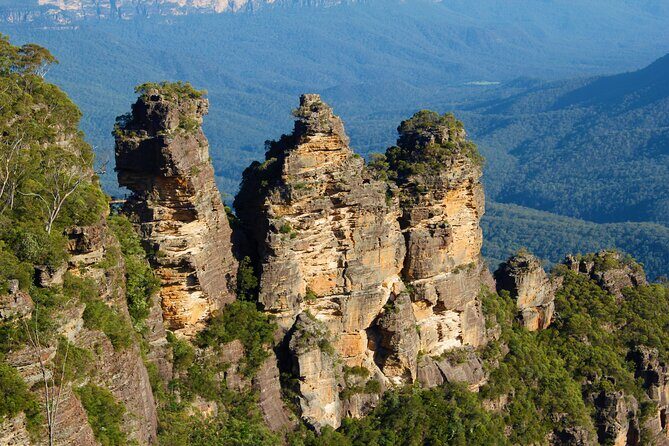 Private Tour Blue Mountains Day Adventure Wildlife + River Cruise - “Survival skills (optional)”: who this extra bit is for