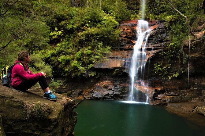 Private Tour Blue Mountains Day Adventure Wildlife + River Cruise - Greater Blue Mountains Drive in a 4WD: the part most people miss