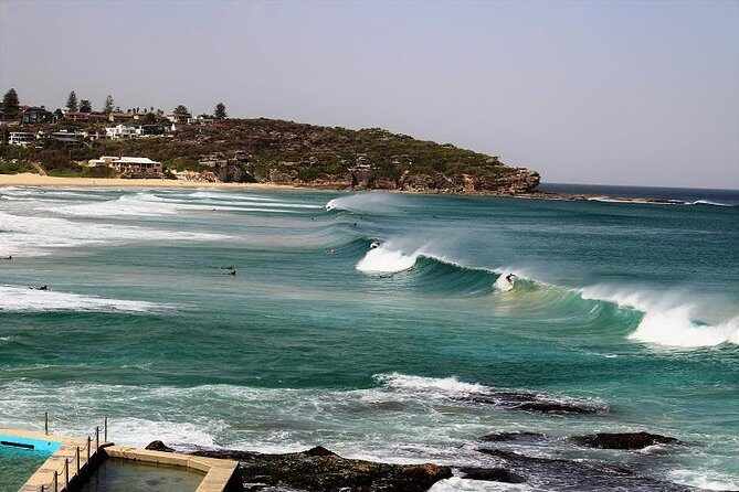 Private tour of Ku-Ring-Gai National Park and Northern Beaches - What you get included: lunch, water, photos, and hotel pickup