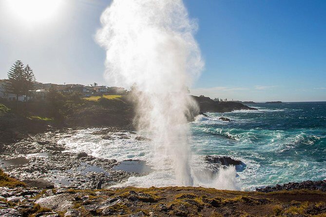 Private Tour: Sydney South Coast & Highlands - Price, Timing, and What You’ll Budget for Lunch