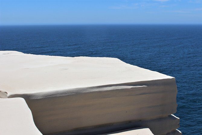 Royal National Park Private Tour - Key reasons this private Royal National Park tour is a smart pick