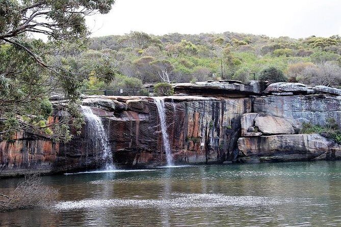 Royal National Park Private Tour - Planning a Royal National Park private day from Sydney: 8:45 am to a relaxed finish