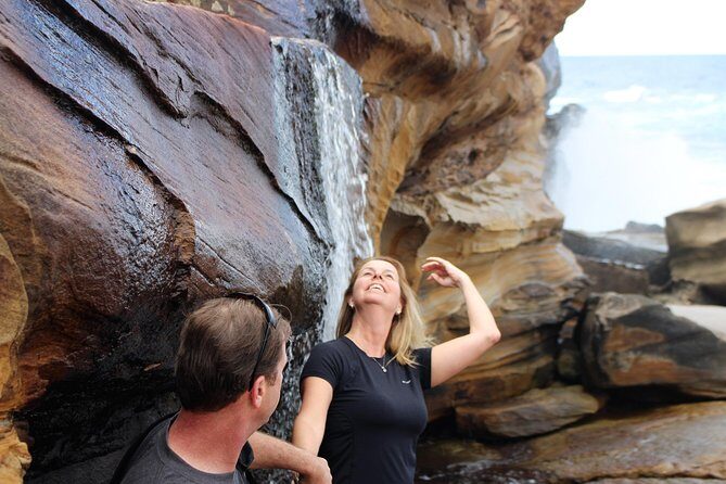 Royal National Park Private Tour - Horderns Beach: an easy first taste of life inside the Royal National Park