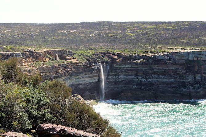 Royal National Park Private Tour - Bald Hill Lookout: Illawarra Escarpment views and the south coast in one glance