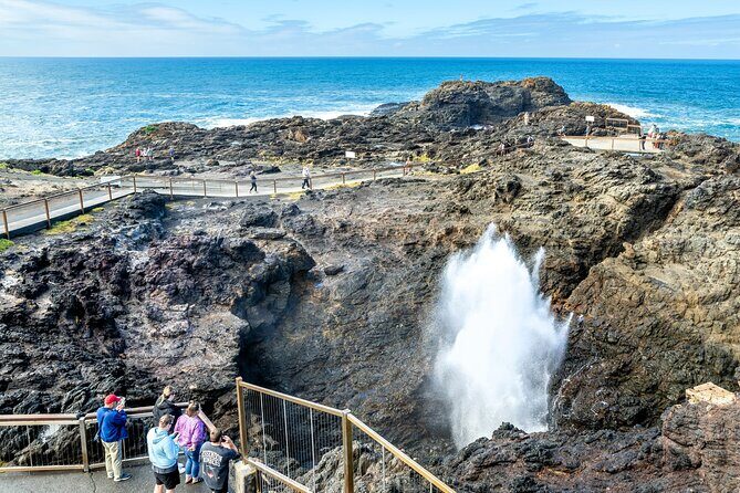 Sea Cliff Bridge, Kiama Blowhole, Beaches & Wildlife Small Group - Jambberoo countryside breaks, plus lunch and snack value